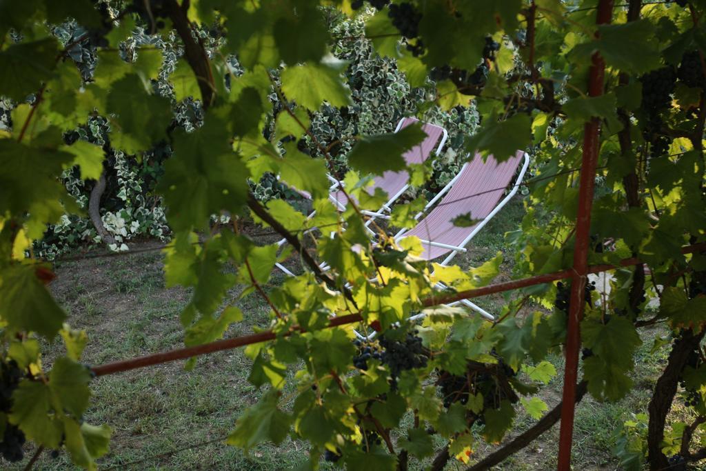 Kucica Ljubcek Villa Privlaka  Oda fotoğraf